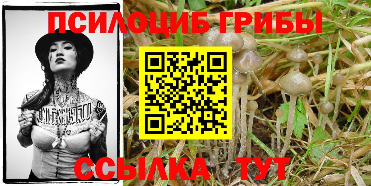 Псилоцибиновые грибы мицелий Раменское