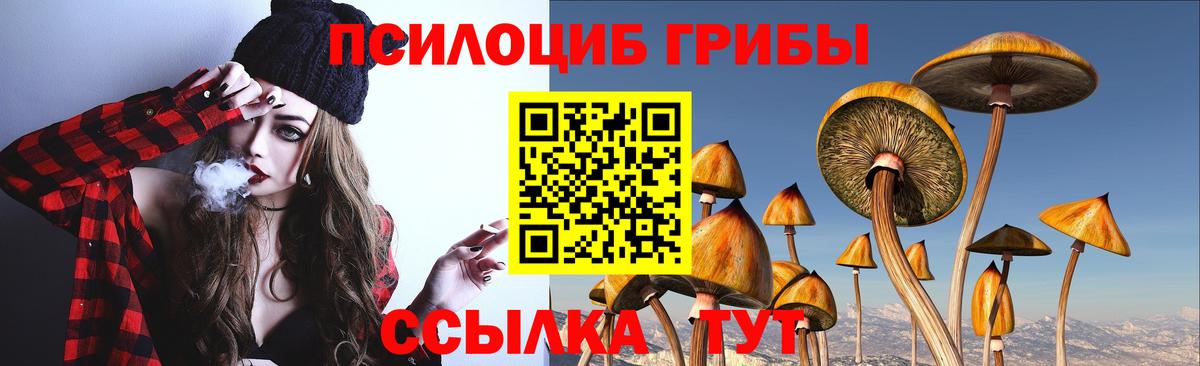 купить  сайты  Вход с VPN  Раменское  Галлюциногенные грибы GOLDEN TEACHER  Галлюциногенные грибы ЛСД 